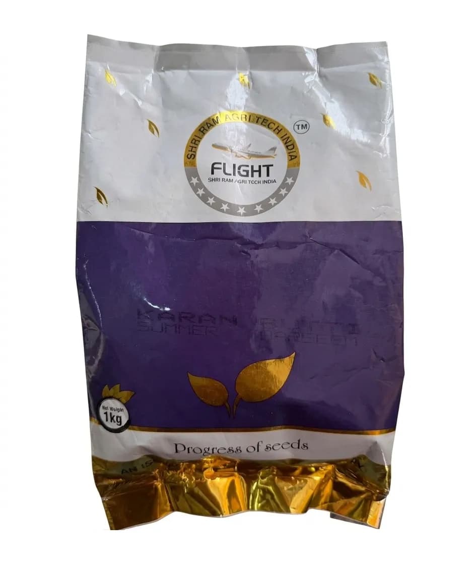 Shri Ram Karan Butti Summer Barseem Seeds - Image 1