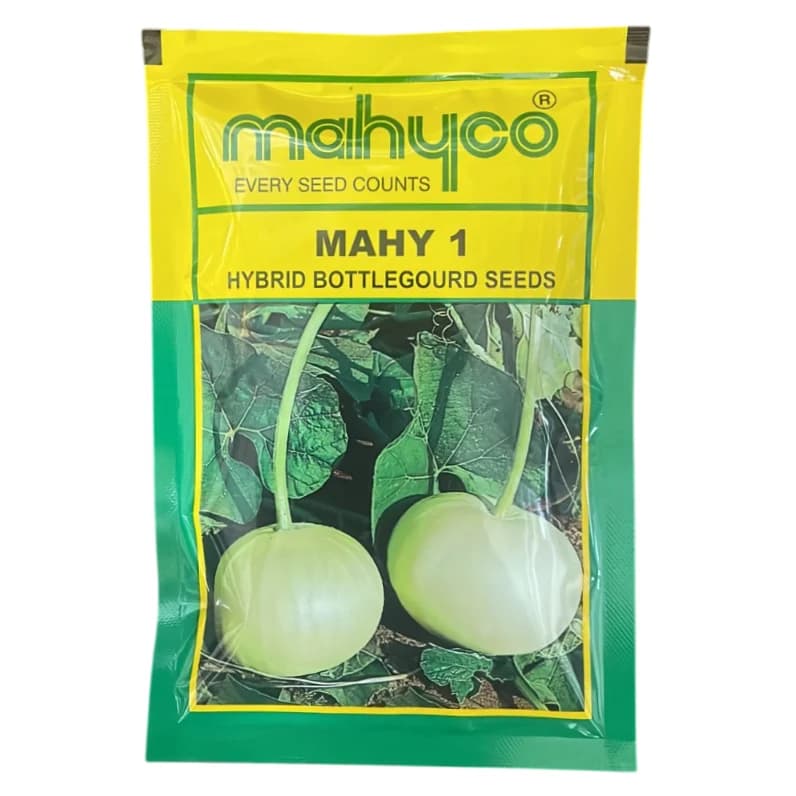 Mahyco Mahy 1 Hybrid Bottle Gourd Seeds, High Yield, Light Green, Flat Round Shape - Image 1