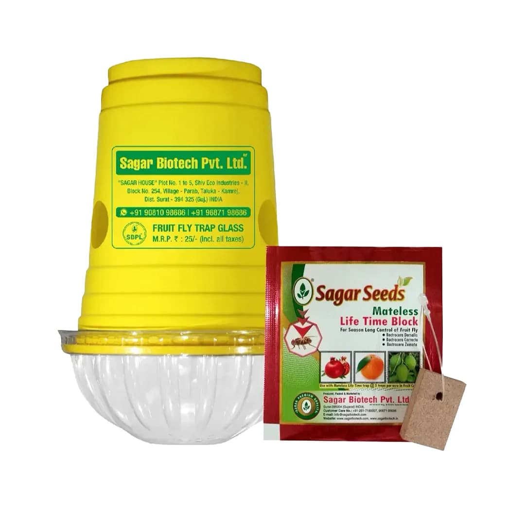 Sagar Fruit Fly Trap Glass, Bactocera Cucurbitae Lure, Effective Melon & Fruit Fly Control