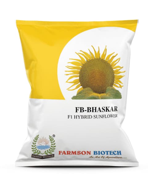 Farmson FB Bhaskar F1 Hybrid Sunflower Seeds, Good Yield Potential Suitable for all Type of Soils (Buy 1 Get 1 Free) - Image 1