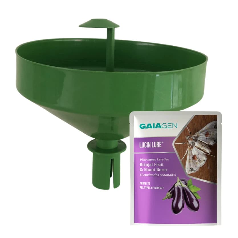 Gaiagen Brinjal Fruit And Shoot Borer Pheromone Lure For Leucinodes Orbonalis, IMO Certified. - Image 1