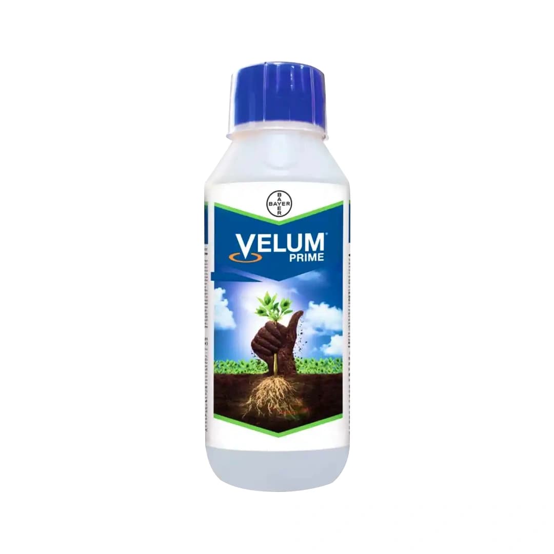 Bayer Velum Prime Nematicide (Fluopyram 34.48% SC) Effective Root Knot Nematode Control in Tomato & Cucumber - Image 1