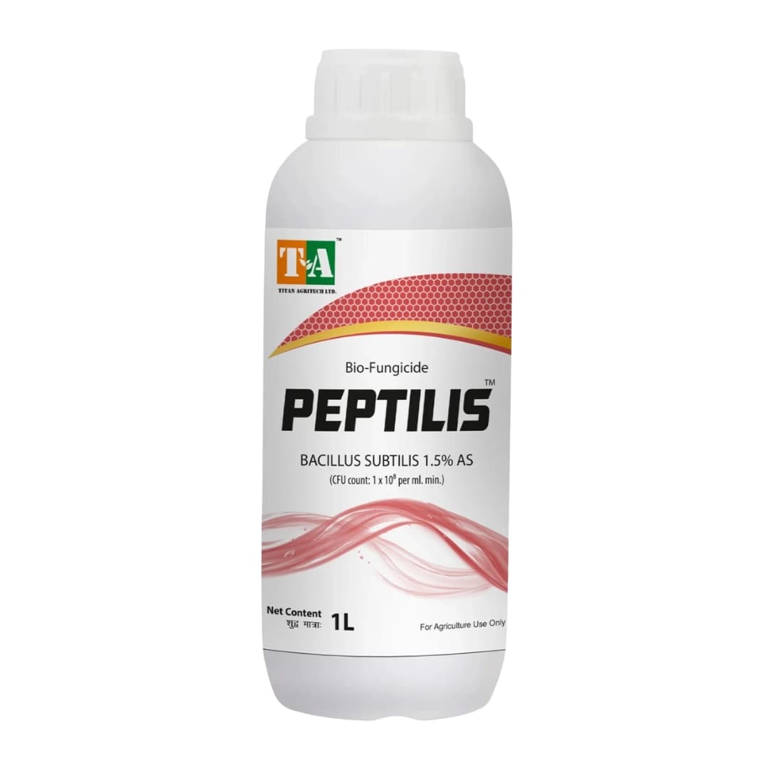 Titan Agritech Peptilis Bacillus Subtilis 1.5% AS Bio Fungicide, Promotes Nutrient Solubilization And Uptake