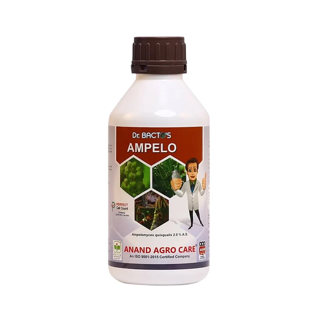 Anand Dr.Bacto\'s Ampelo Bio Fungicide - Ampelomyces Quisqualis 2.0 A.S. - Image 1