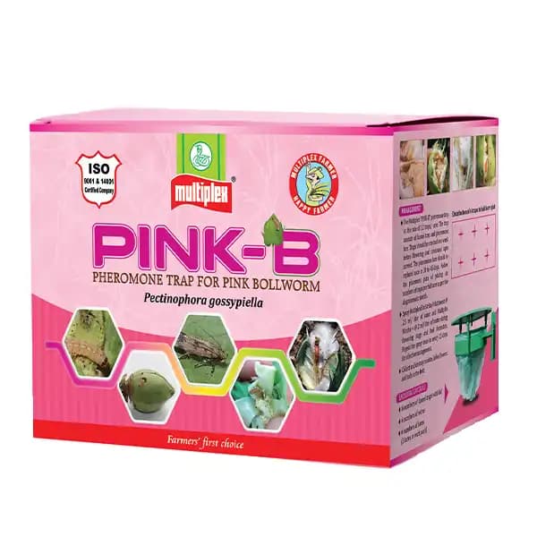 Multiplex Pink-B Pheromone Trap and Lure For Pink Bollworm Control In Cotton & Other Crops - Image 1