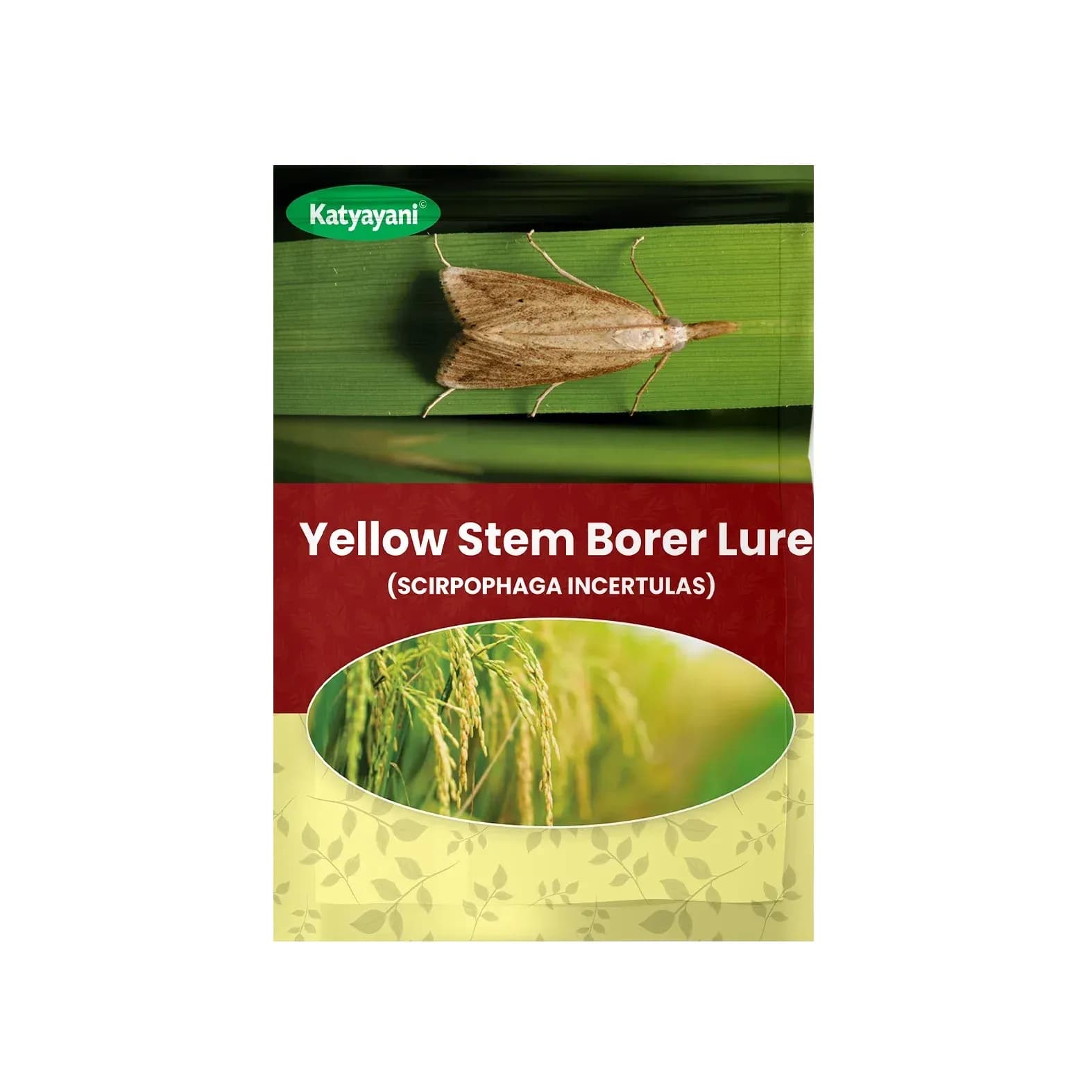 Katyayani Yellow Stem Borer Lure Scirpophaga Incertulas, Eco-Friendly Pest Monitoring Solution For Rice Crops - Image 1