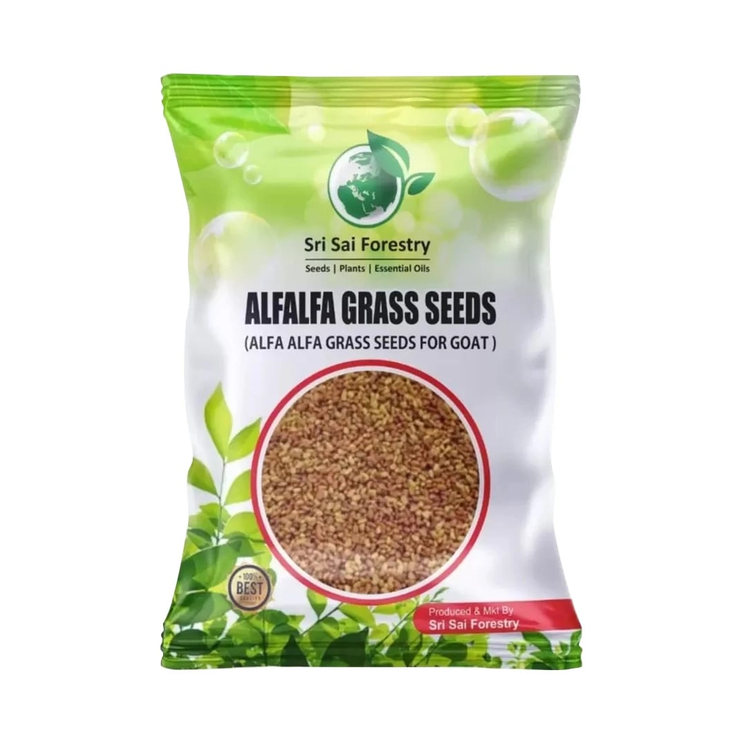 SRI SAI FORESTRY -  Alfa Alfa Grass Seeds - Lucerne (Fodder, Soil Erosion Control)