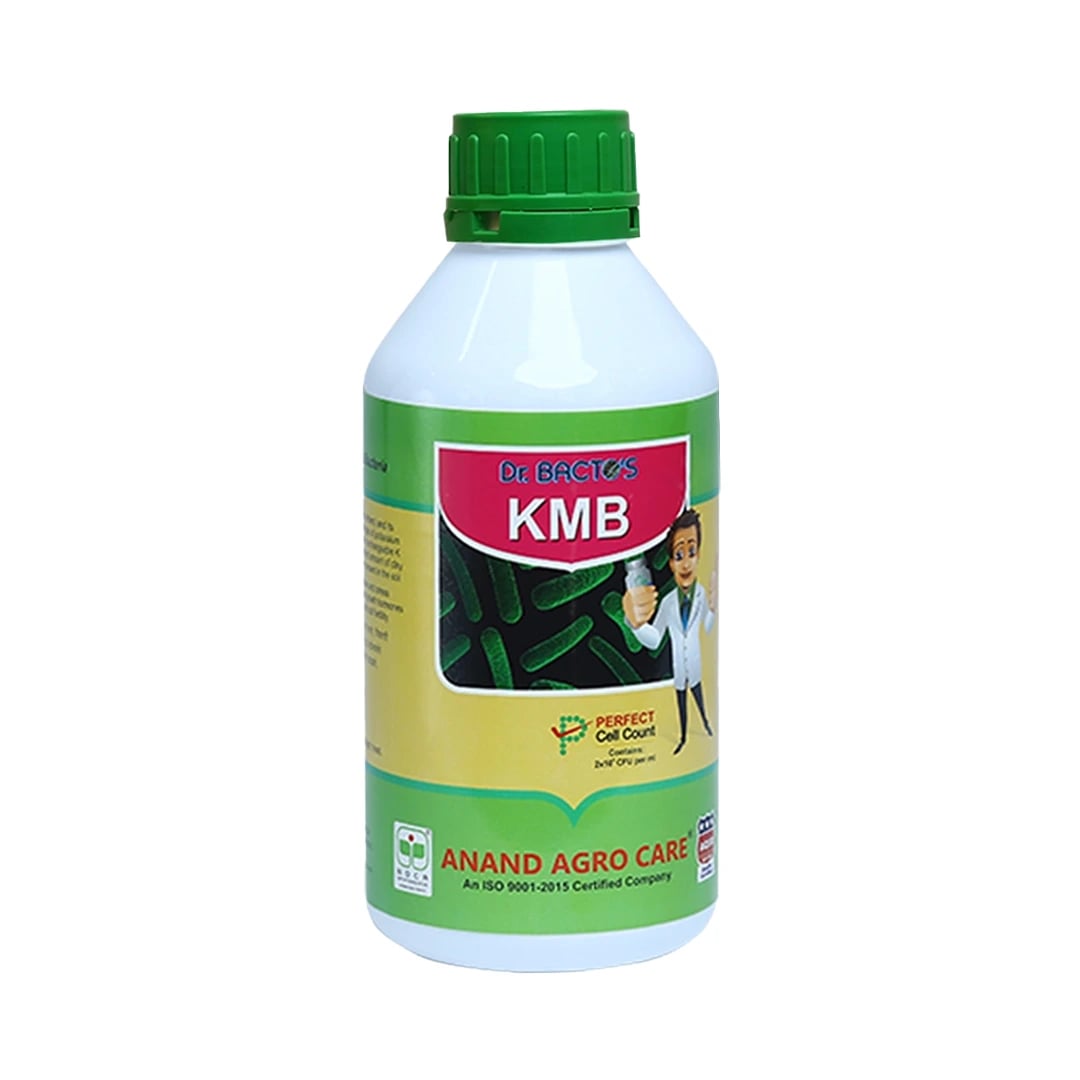 Dr. Bacto\'s KMB, Potash Mobilizing Bacteria, Improves resistance of crop against disease