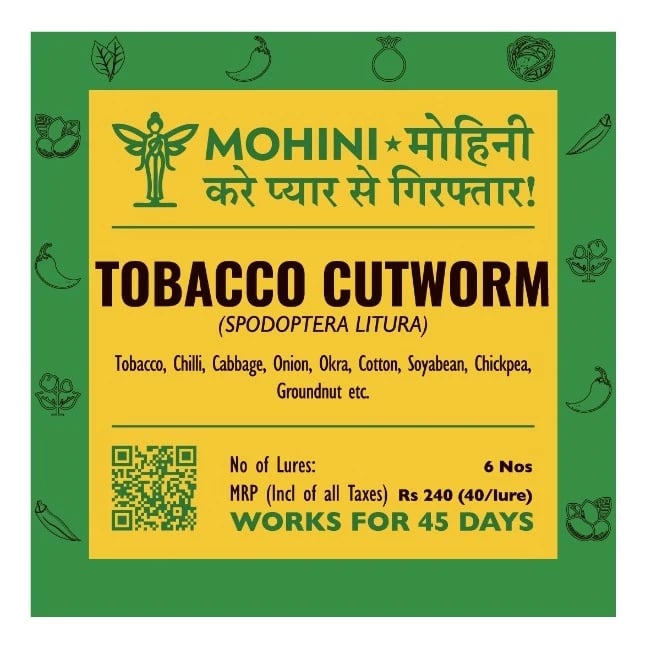 Biowall Mohini Tobacco Cutworm Pheromone Lure, Spodoptera Litura For Control In Multiple Crops