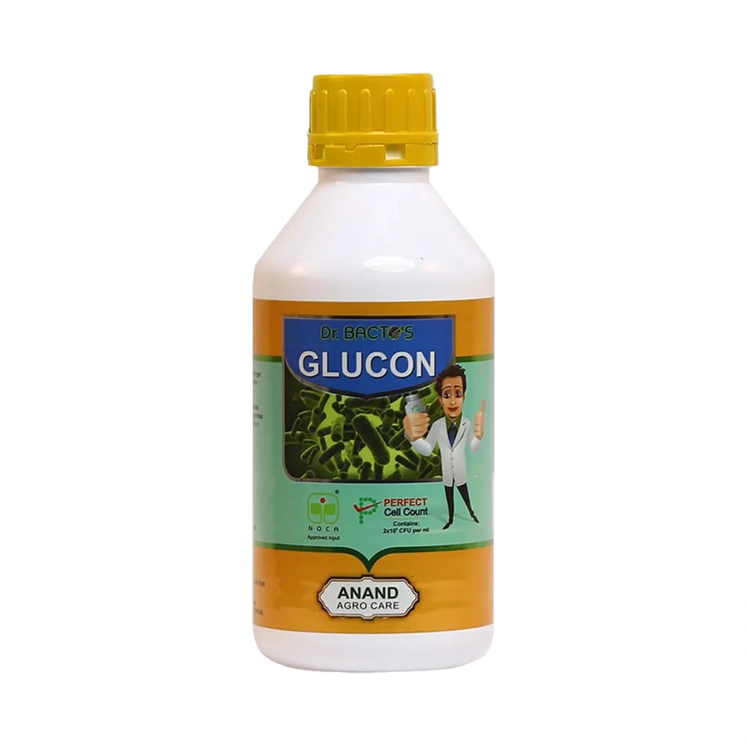 Dr. Bacto\'s Glucon, Nitrogen Fixation In Roots, Stems And Leaves of Sugarcane Plant, Promotes Root Proliferation And Increases Nutrient Uptake