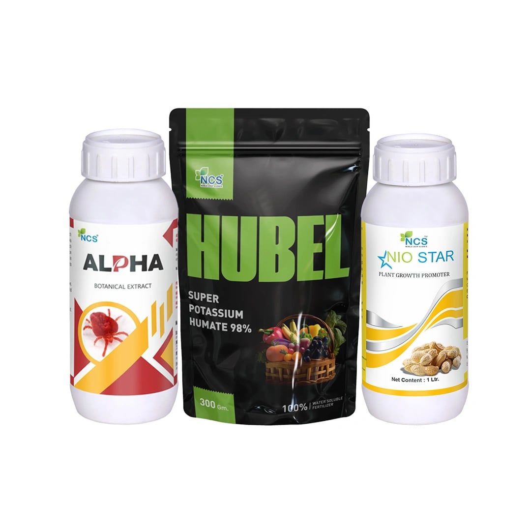 Chilli Virus Special For Pre-Treatment (Set of Alpha 250 ML + Nio Star 100 ML + Hubel 900 GM) Best Effect On Chilli Virus