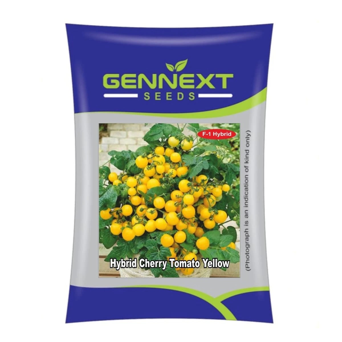 Gennext Yellow Cherry Tomato Seeds - (Tamatar Seeds) Golden Yellow Color, Round Shape