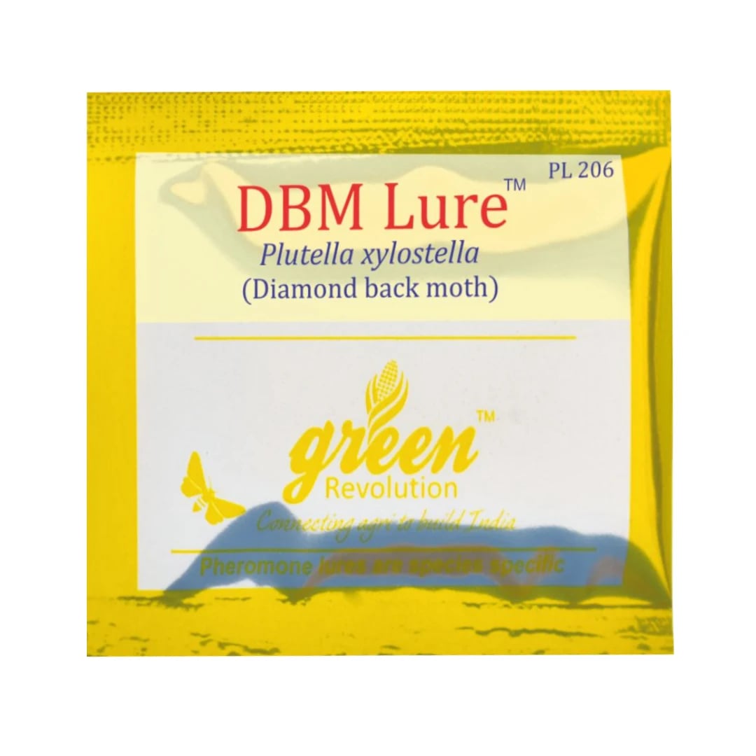 Delta Pheromone Trap with DBM Pheromone Lure for controlling Diamondback Moth (Plutella xylostella)