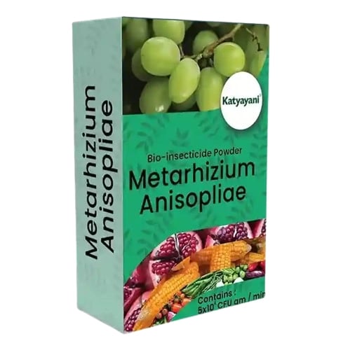Katyayani Metarhizium Anisopliae Bio Insecticide, (Powder) Talcum Based Powder Formulation Used For Effective Pest Control