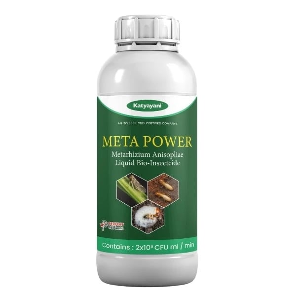 Katyayani Meta Power Metarhizium Anisopliae, Liquid Bio Insecticide, Effective Against a Broad Spectrum of Insects