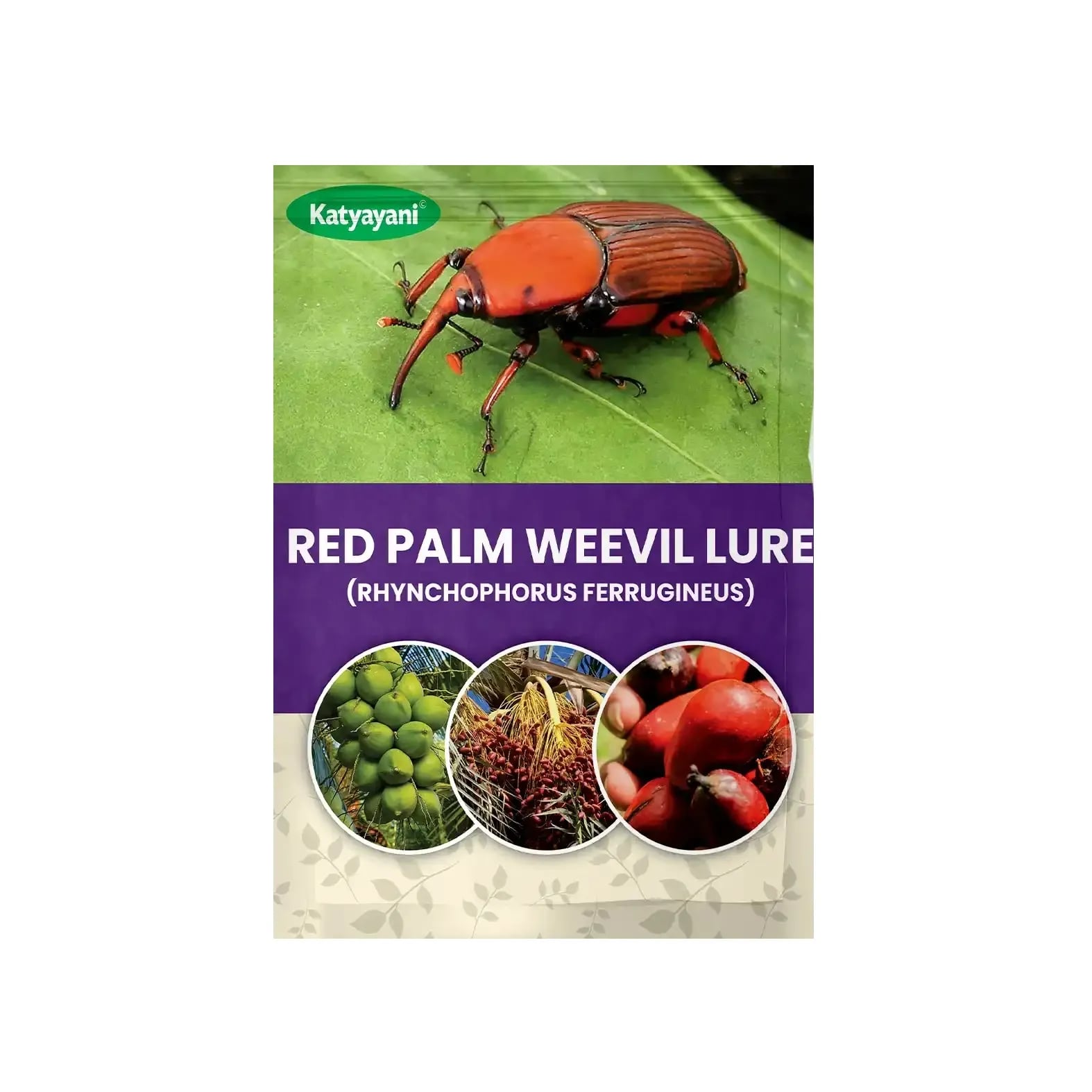 Katyayani Red Palm Weevil Lure Rhynchophorus Ferrugineus, Eco-Friendly For Effective Pest Control