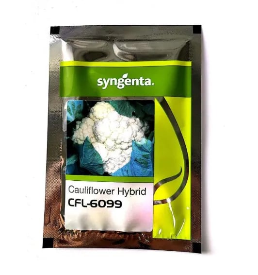 Syngenta CFL 6099 Cauliflower Hybrid Seeds