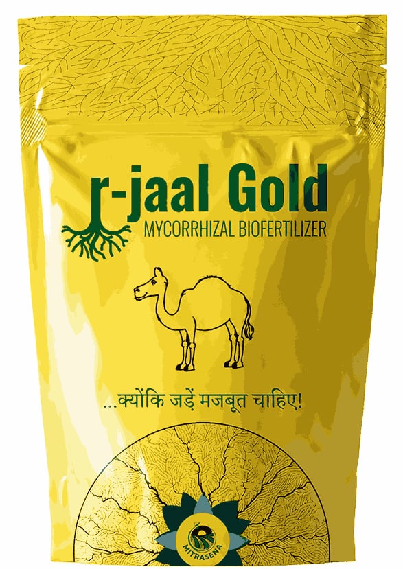 Biowall r-Jaal Gold VAM (Vesicular Arbuscular Mycorrhiza) Root Development and Nutrient