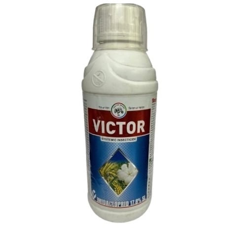 IIL Victor Insecticide