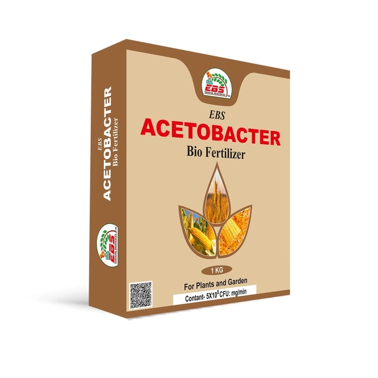 EBS Acetobacter Bio Fertilizer Powder Form, Use for Plants, Crops & Home Garden, Nursery.