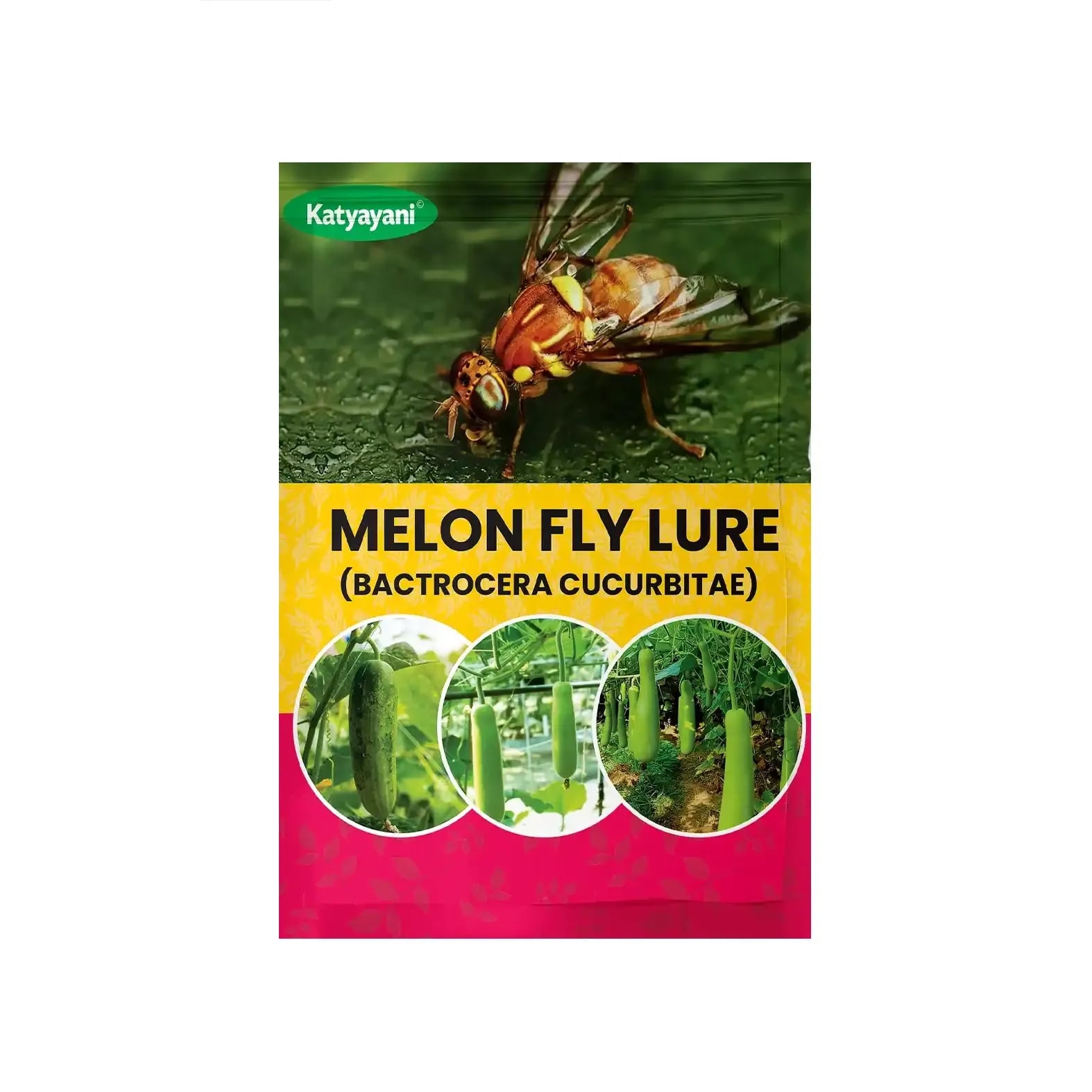 Katyayani Melon Fly Lure Bactrocera Cucurbitae, Effective Control of Melon Fruit Fly In Various Crops