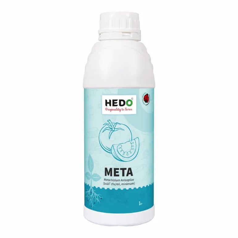 HEDO Meta (Metarhizium Anisopliae) Liquid Bio Pesticide For Agriculture, Garden & All Crops To Control  Beetles, Weevils, White Grubs, Aphids & Thrips