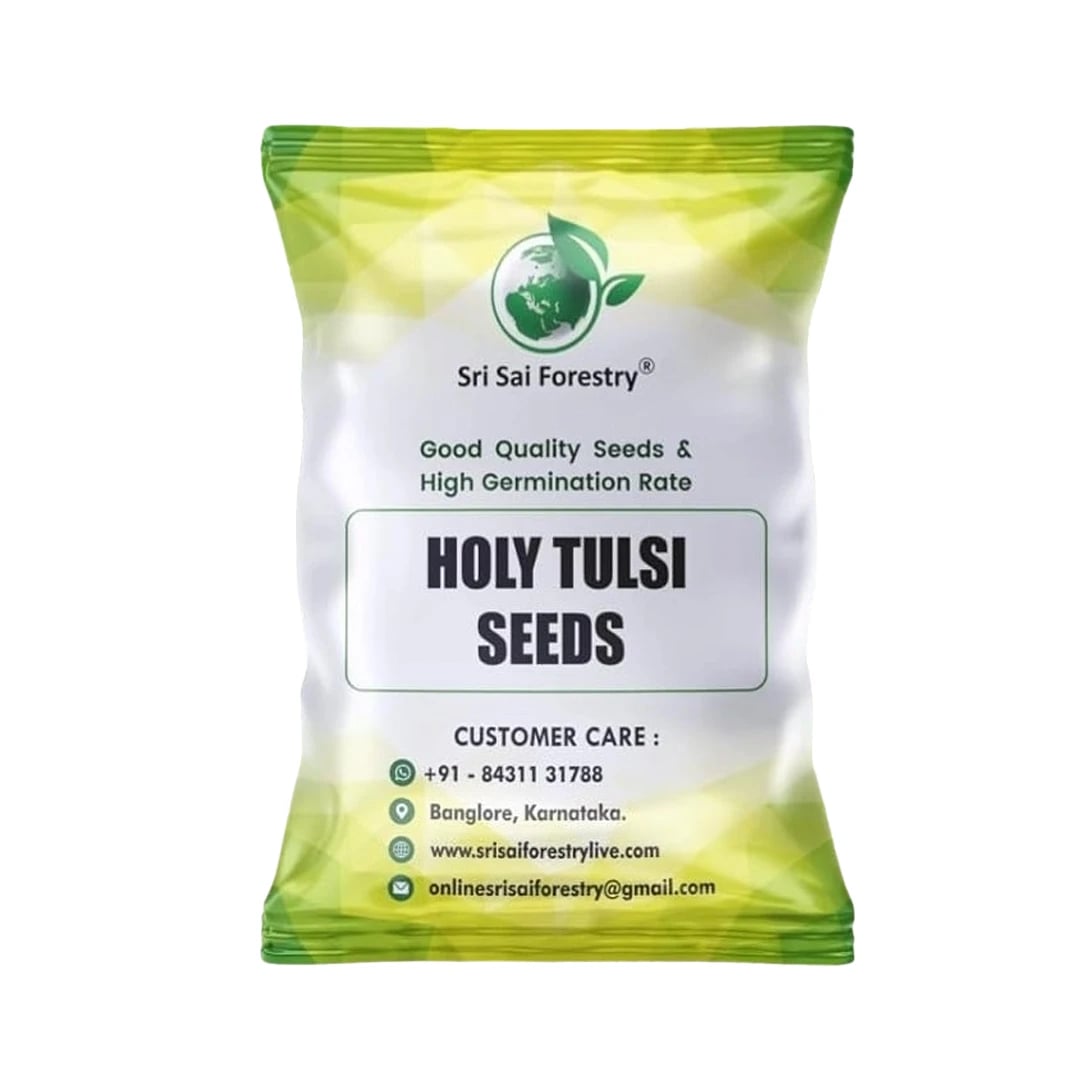 SRI SAI FORESTRY- Natural Tulsi Seed or Holy Basil Seeds, Indian Tulsi Plant Seeds, Flower Seeds