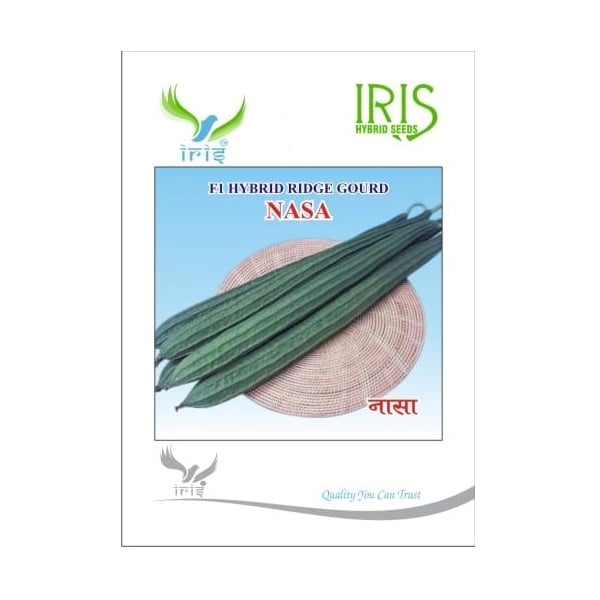 Iris Nasa F1 Hybrid Ridge Gourd Seeds, High Yield, Straight Fruits And Vigorous Growth