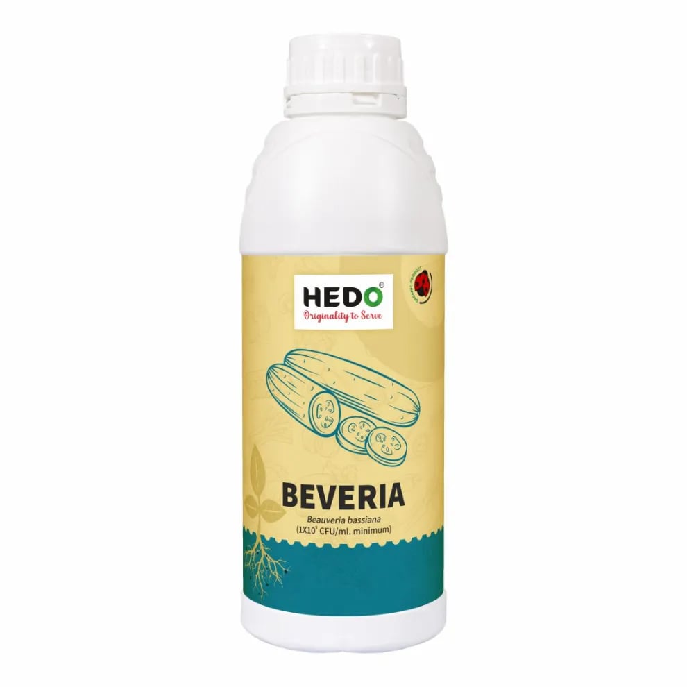 HEDO Beveria (Beauveria Bassiana) Liquid Bio Pesticide, Controls Sucking Pests, Grubs, Termites, And Bollworms Effectively