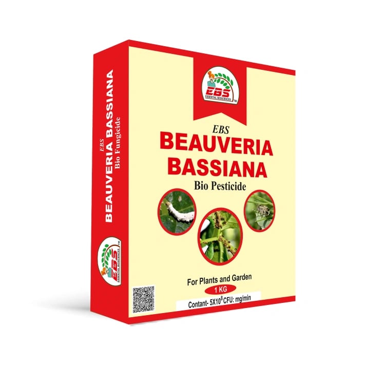EBS Beauveria Bassiana Bio Pesticide, Use for All Plants, Crops and Home Garden, Nursery
