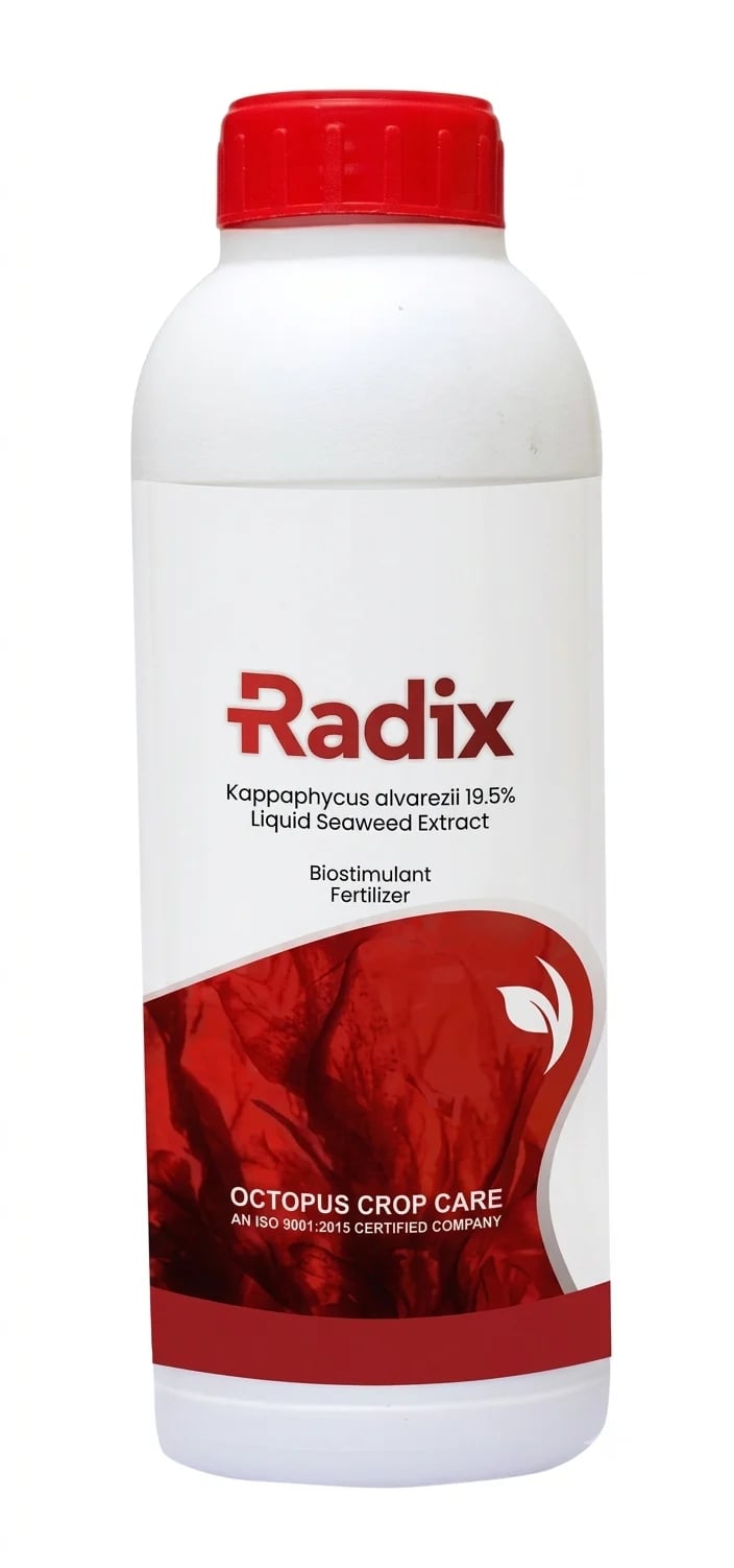Octopus Radix Red Seaweed Liquid Seaweed Extract Biostimulant Fertilizer