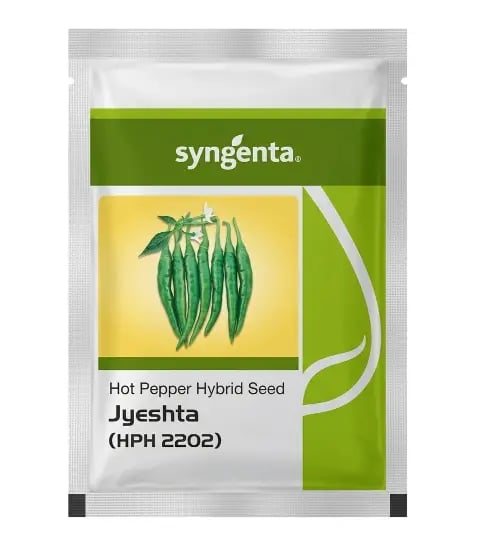 Syngenta Jyeshta HPH 2202 Hybrid Hot Pepper Seeds, Red Chilli Seeds
