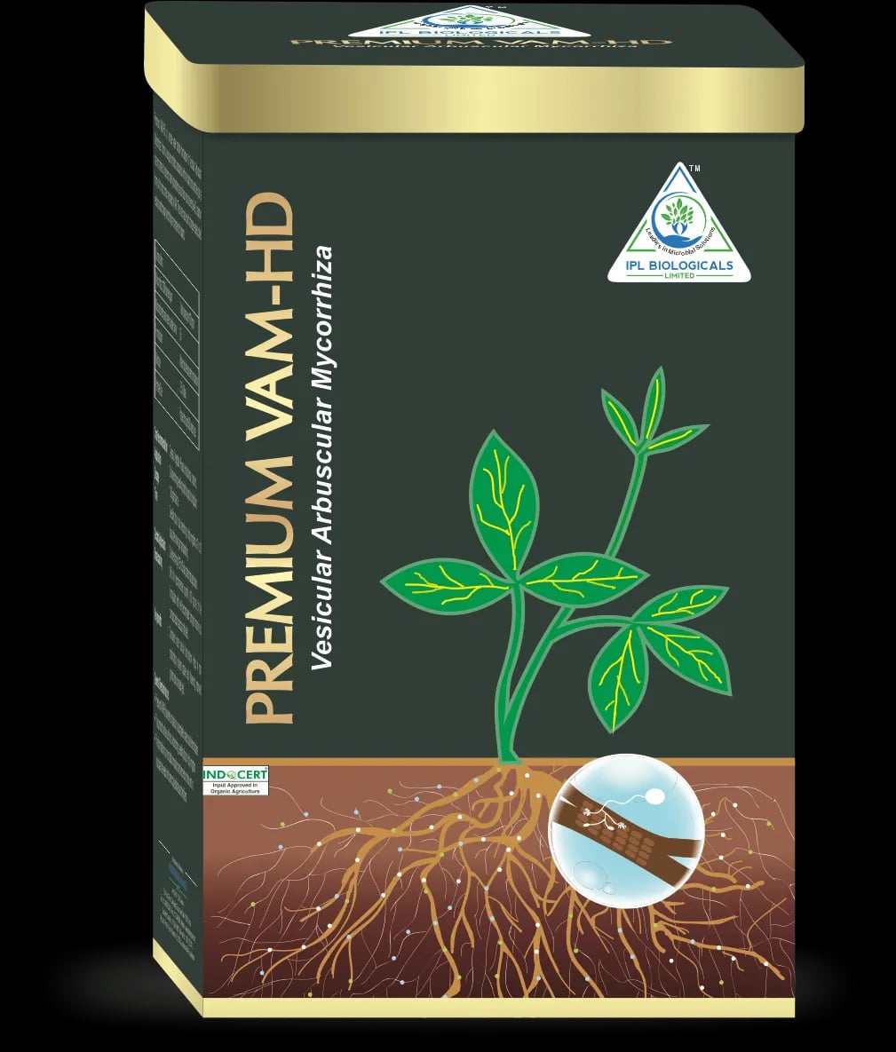 IPL Premium VAM HD (Vesicular Arbuscular Mycorrhiza) Bio Fertilizer, Boosts Overall Plant Development And Root Growth.