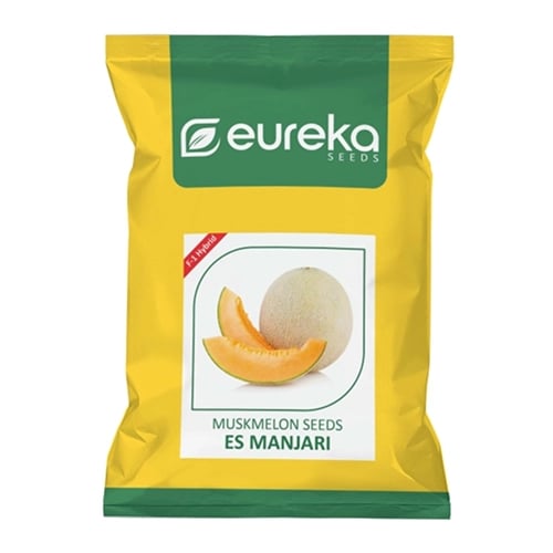 Eureka ES MANJARI F1 Hybrid Muskmelon Seeds, Orange Flesh, High Yield Variety