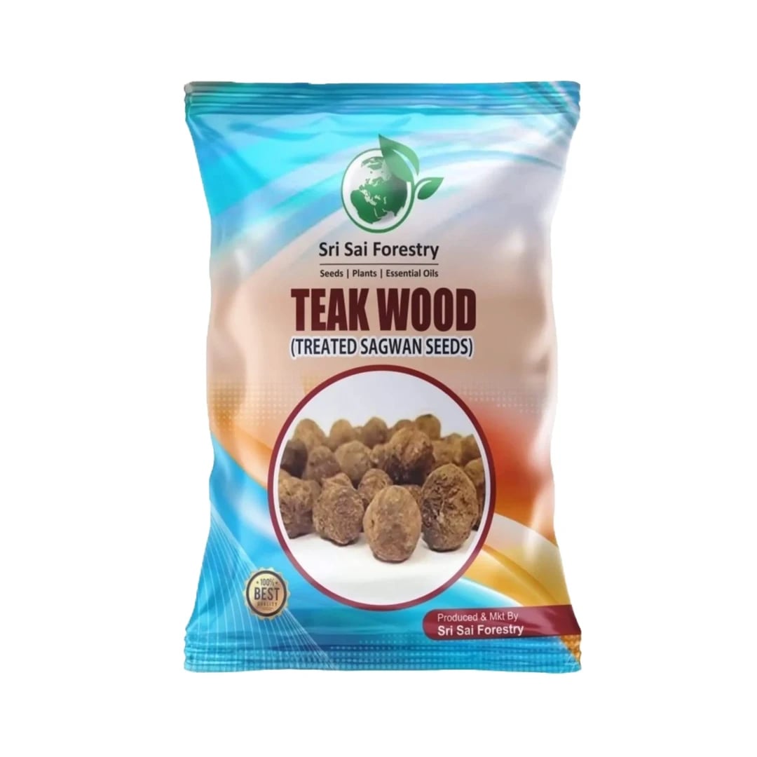 SRI SAI FORESTRY - Teak wood seeds (Sagwan) Tree Seeds, Excellent For Germination
