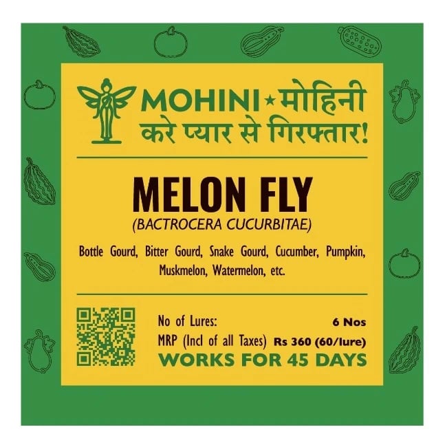Biowall Mohini Melon Fly Bactrocera Cucurbitae, Pheromone Lure For Effective Pest Control