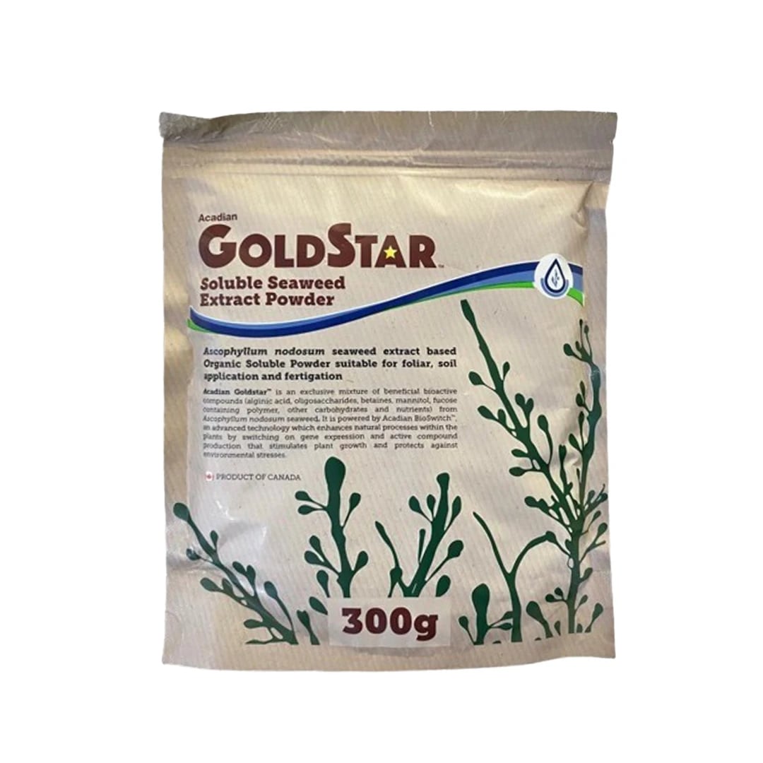 Acadian Goldstar Biostimulant, Ascophyllum Nodosum Seaweed Extract, Enhances Abiotic Stress Of Plant