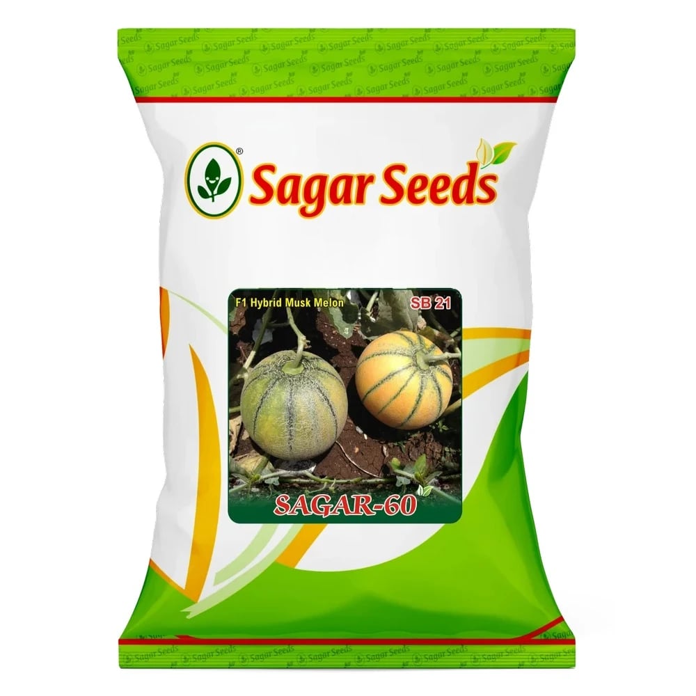 Sagar-60 Muskmelon Seeds - (Kharbuja Seeds) Yellow Skin With Green Stripes, High Yield, Orange Flesh