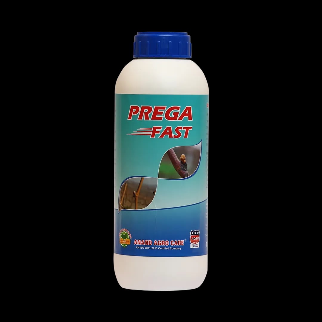 Anand Prega Fast (Flowering Stimulant), Increases Number of Flower In Plant And Yield, Reduces Flower And Fruit Drop