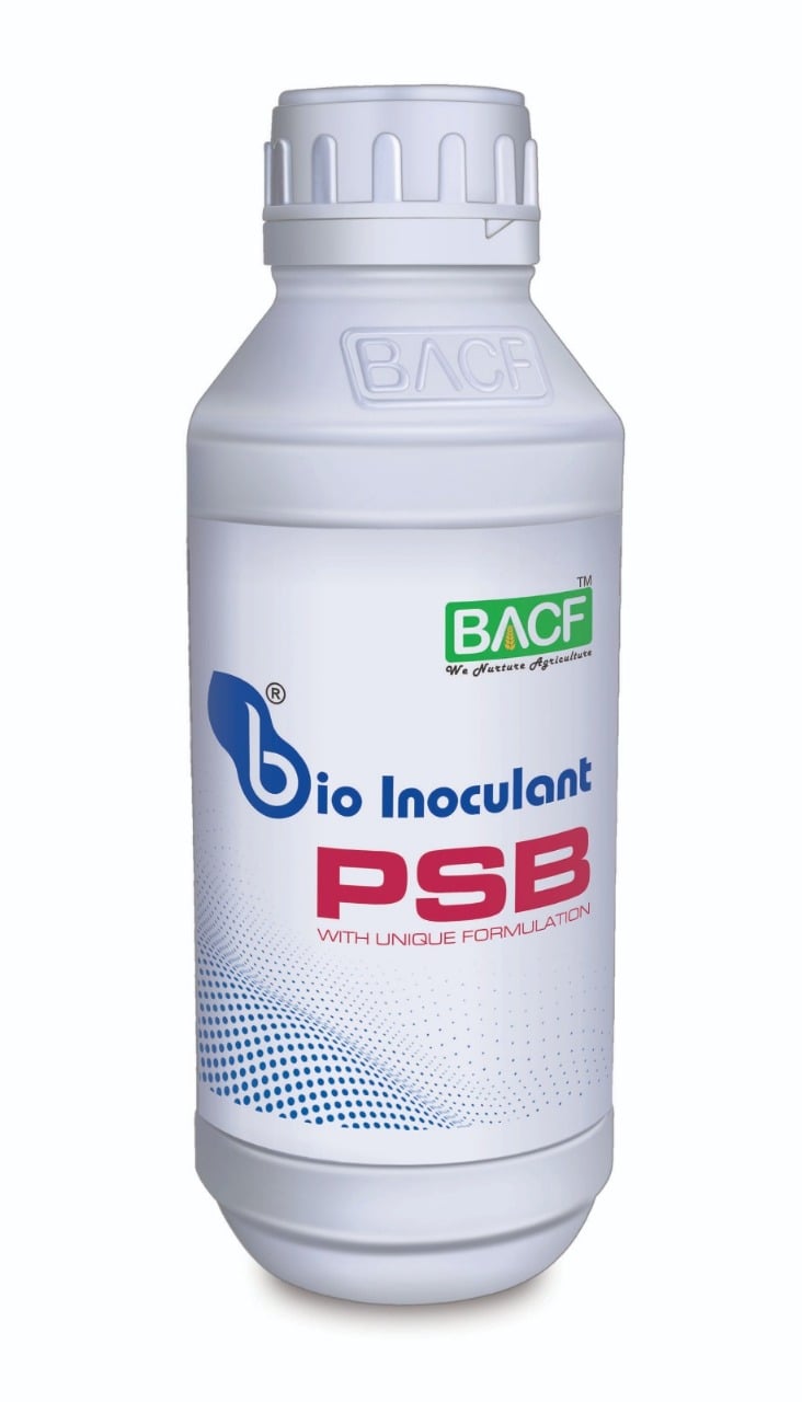 BACF PSB Bio Inoculant with Unique Formulation for Enhanced Phosphorus Availability
