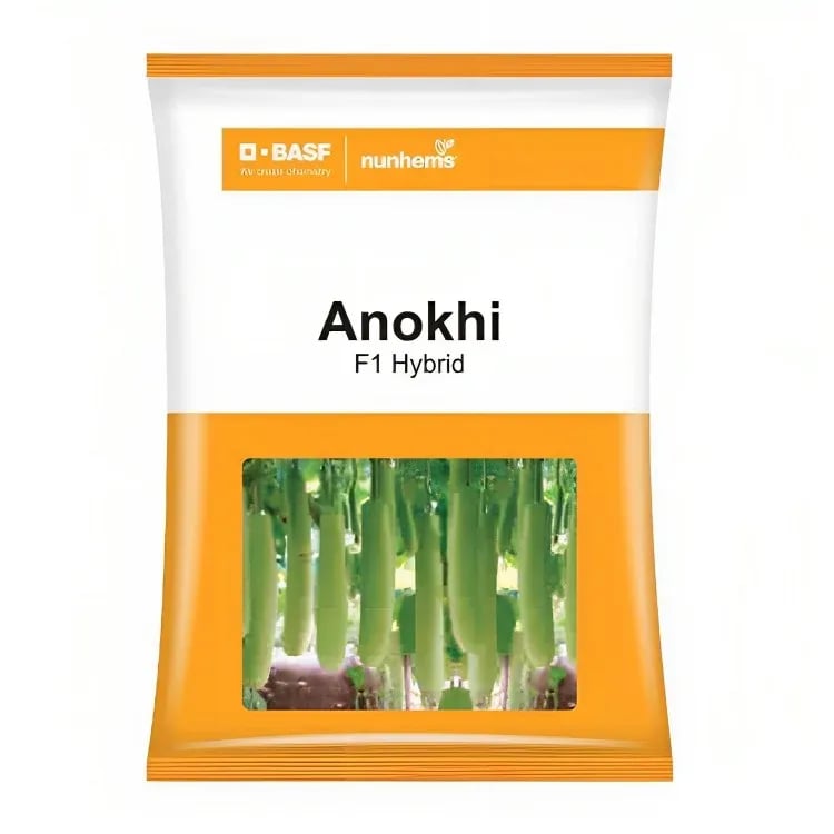 BASF Nunhems Anokhi F1 Hybrid Bottle Gourd Seeds