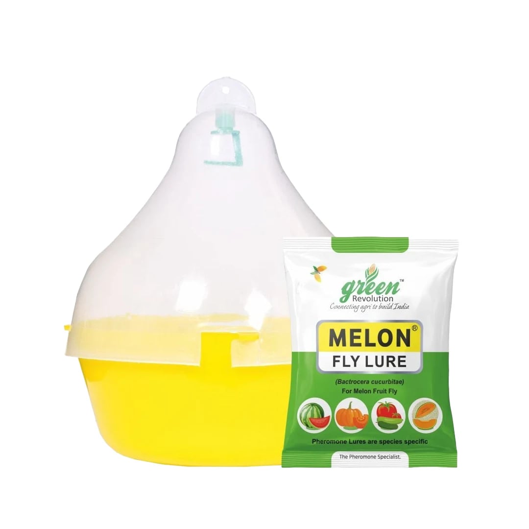 Maxplus Trap With Melon Fly Lure, For Controlling Bactrocera Cucurbitae, For Water Melon, Musk Melon, Cucumber, Bottle Gourd, Pumpkin, all Vegetables