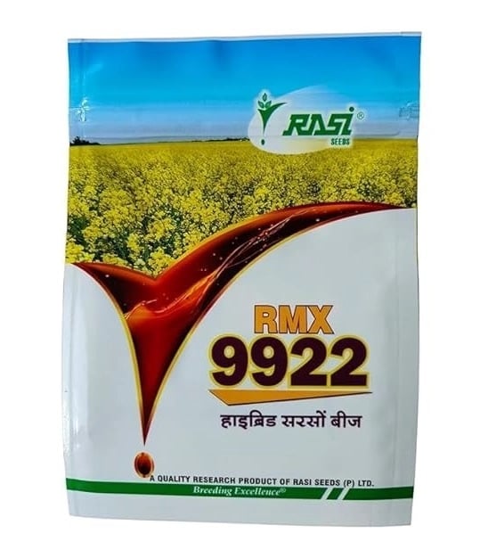 Rasi RMX 9922 Hybrid Mustard Seeds, Sarso Ke Beej, Fast-Growing and Higher Yield Variety