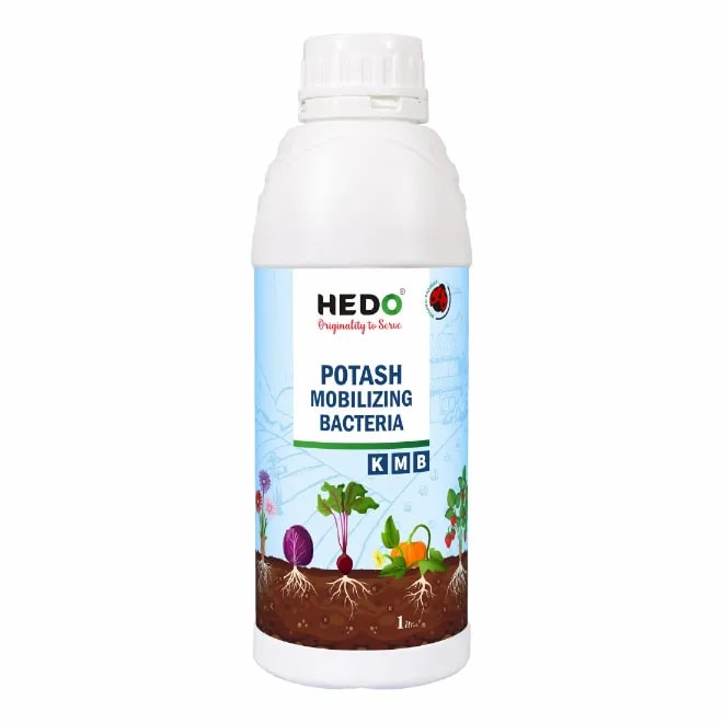 HEDO Potassium Mobilizing Bacteria (KMB) Liquid Bio Fertilizer, To Increase The Fruit Quality & Growth Of The Crops
