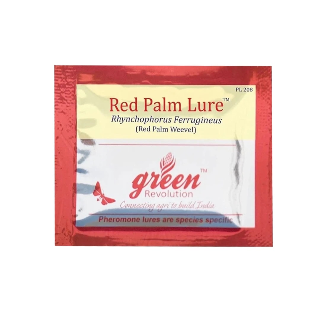 Pheromone Lure (Rhynchophorus Ferrugineus) For RPW - Red Palm Weevil. Useful In Coconut Palm, Date Palm, Oil Palm & Areca Nut Palm.