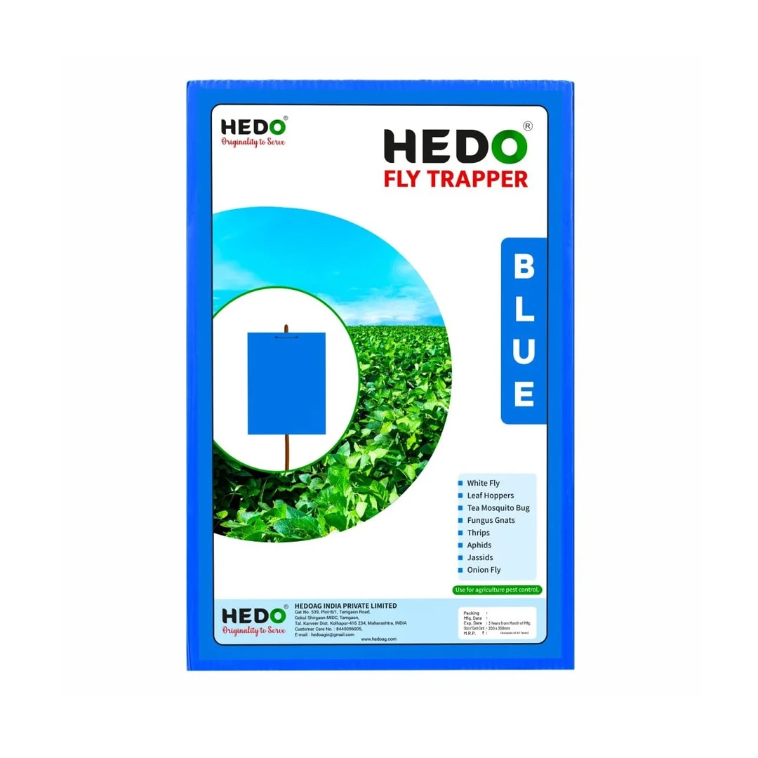 HEDO Eco A4 Size Blue Sticky Trap For Thrips, Aphids, Jassids & All Harmful Flying Insects, Best For Organic Vegetable And Fruits Farming Pest Control