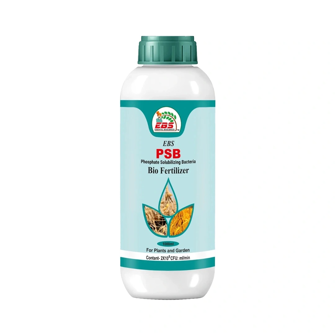 EBS PSB Phosphate Solubilising Bacteria Bio Fertilizer beneficial to pulses and useful in all crops and under all climates