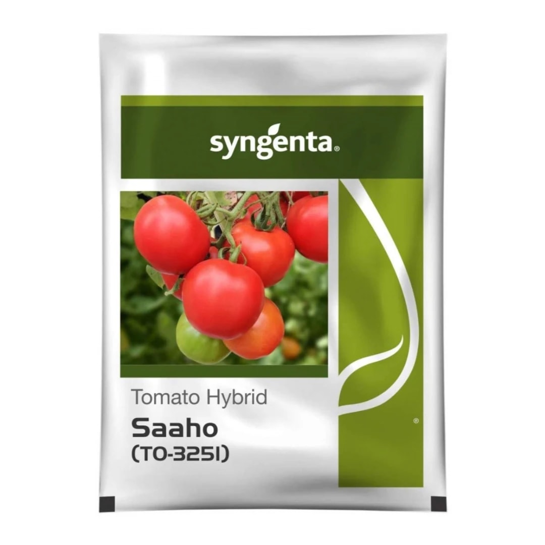 Syngenta Saaho Tomato Seeds (TO-3251)