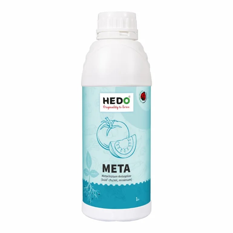 HEDO Meta (Metarhizium Anisopliae) Liquid Bio Pesticide For Agriculture, Garden & All Crops To Control  Beetles, Weevils, White Grubs, Aphids & Thrips