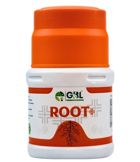 GBL Root+ Vesicular Arbuscular Mycorrhiza, Enhanced Root Growth, Nutrient Uptake And Soil Health